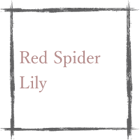 /red-spider-lily/